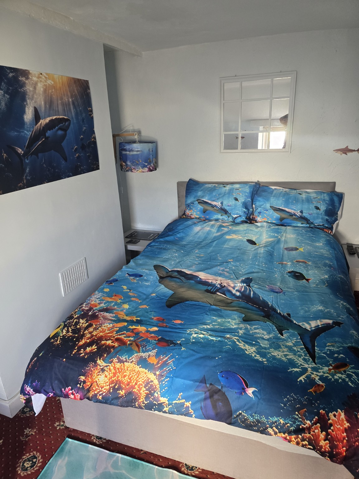 Shark room photo 2
