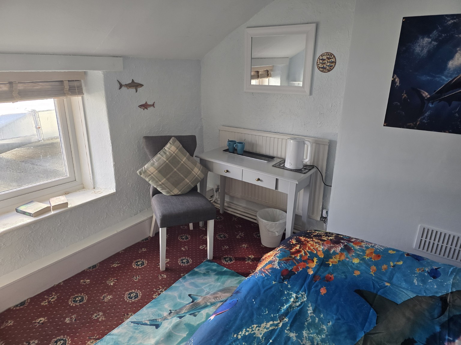 Shark room photo 3